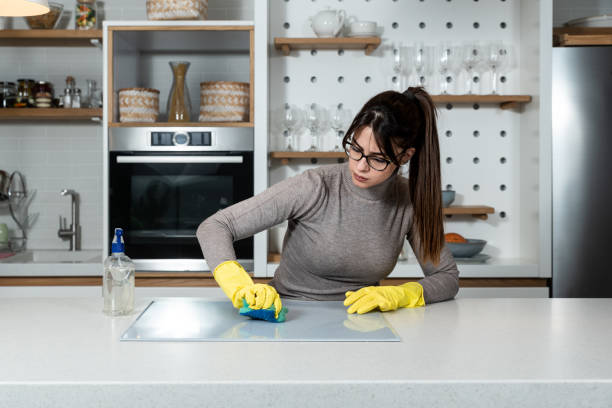 Expert Carpet Cleaning Services In Melbourne